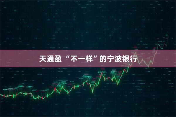 天通盈 “不一样”的宁波银行