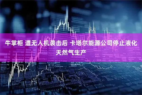 牛掌柜 遭无人机袭击后 卡塔尔能源公司停止液化天然气生产