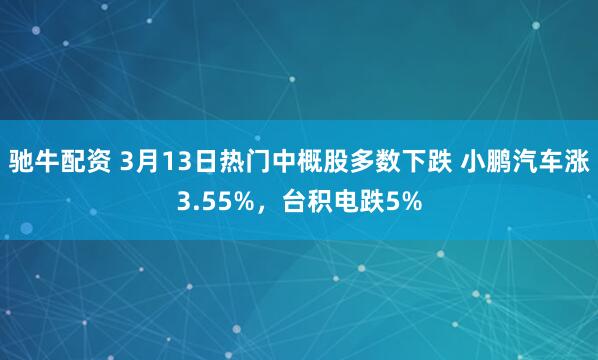 驰牛配资 3月13日热门中概股多数下跌 小鹏汽车涨3.55%，台积电跌5%