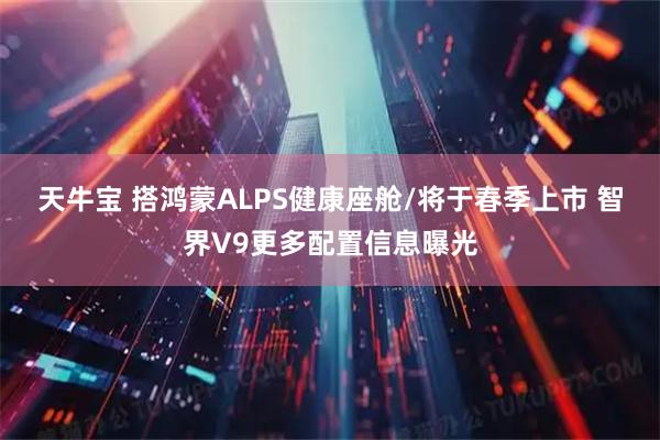天牛宝 搭鸿蒙ALPS健康座舱/将于春季上市 智界V9更多配置信息曝光