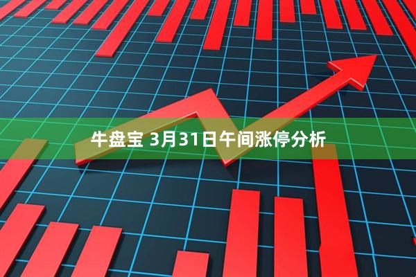 牛盘宝 3月31日午间涨停分析