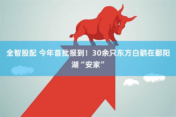 全智股配 今年首批报到！30余只东方白鹳在鄱阳湖“安家”
