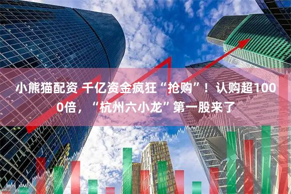 小熊猫配资 千亿资金疯狂“抢购”！认购超1000倍，“杭州六小龙”第一股来了