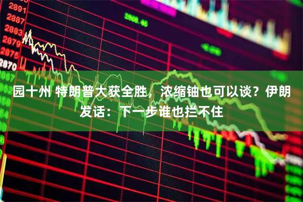 园十州 特朗普大获全胜，浓缩铀也可以谈？伊朗发话：下一步谁也拦不住