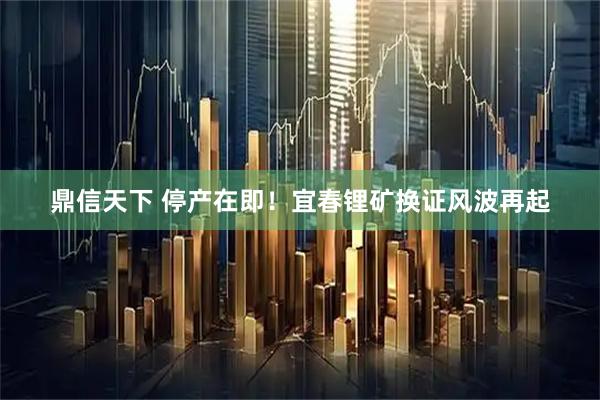 鼎信天下 停产在即！宜春锂矿换证风波再起