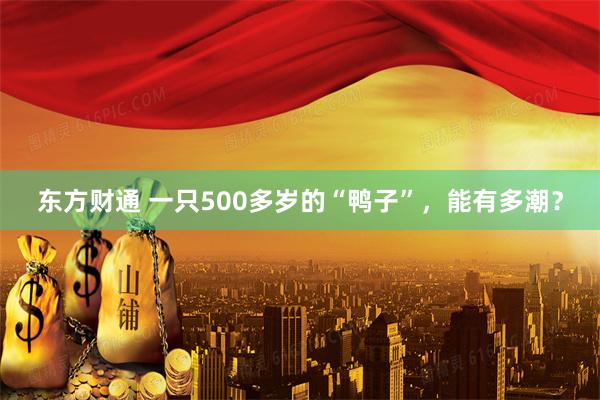 东方财通 一只500多岁的“鸭子”，能有多潮？