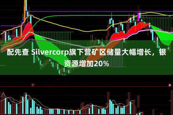配先查 Silvercorp旗下营矿区储量大幅增长，银资源增加20%