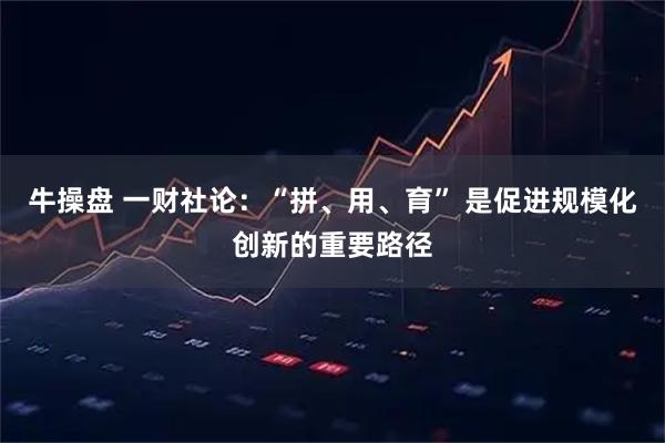 牛操盘 一财社论：“拼、用、育” 是促进规模化创新的重要路径