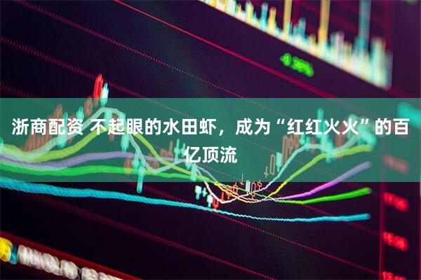 浙商配资 不起眼的水田虾，成为“红红火火”的百亿顶流